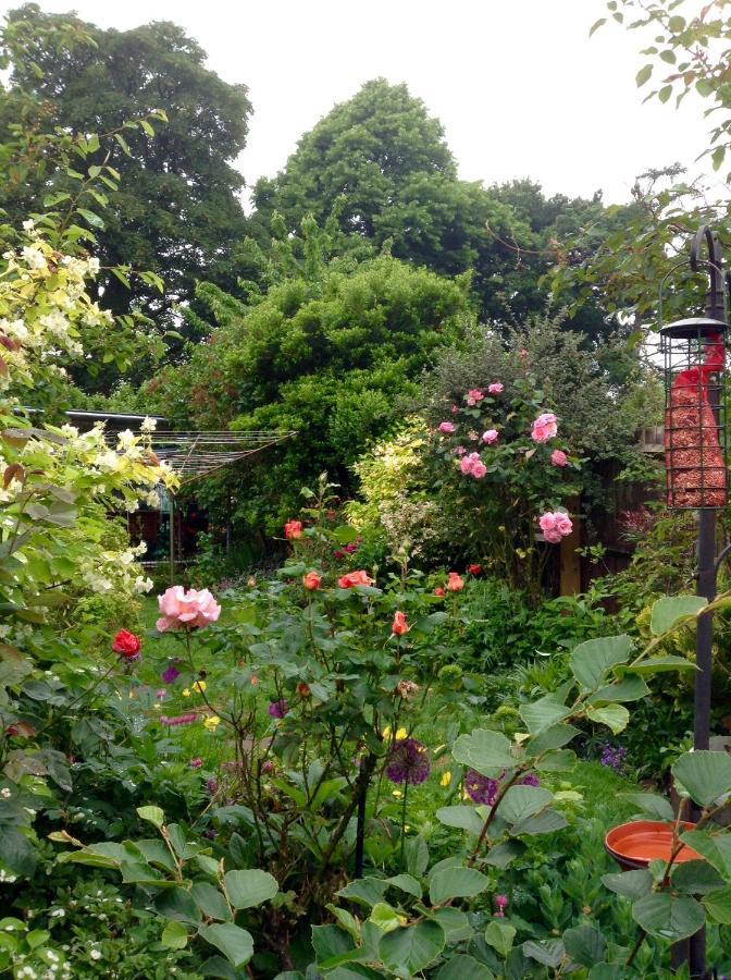 Hyacinth Bed & Breakfast Wellington (Somerset) Exterior foto