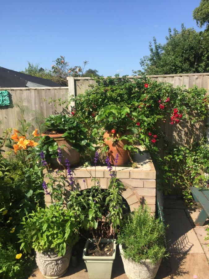 Hyacinth Bed & Breakfast Wellington (Somerset) Exterior foto